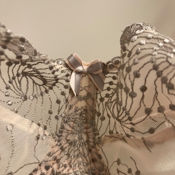 Fit Fully Yours Lingerie: Cloud Pink Nicole Sheer Lace Bra (US 34G) - Picture 4 of 8